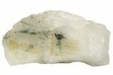 Green Tourmaline (Verdelite) in Quartz - Brazil #221537-1